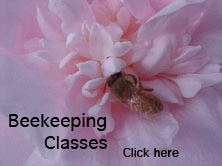 Beekeeping classes