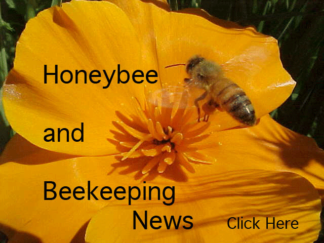 Honeybee and Beekeeping News