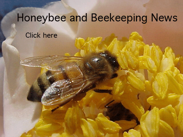 Honey Bee and Beekeeping News