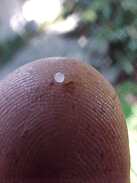 depleted spermatheca