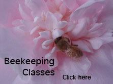 Beekeeping classes