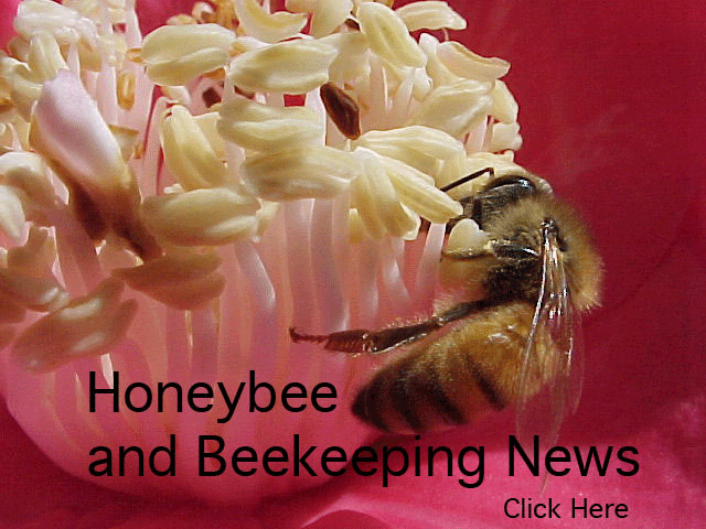 Beekeeping News