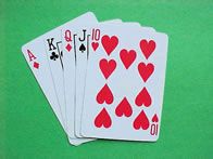 Great hives come from great combinations