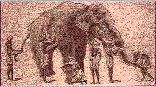blind men and elephant