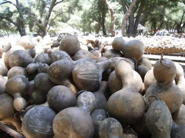 Welburn Gourd Farm