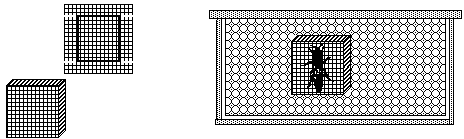 push in introduction cage